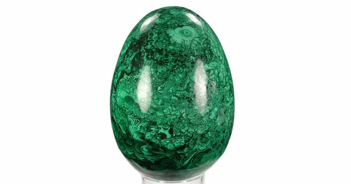 Stunning, Polished Malachite Egg - Congo #129537
